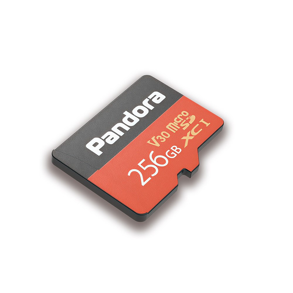 Карта памяти PANDORA MicroSD 256 ГБ Industrial